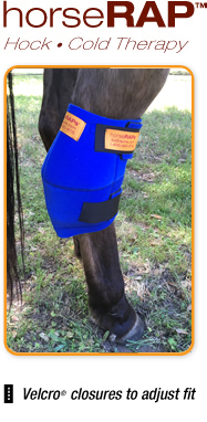 horseRAP® Hock Cold Therapy Treatment for Horses