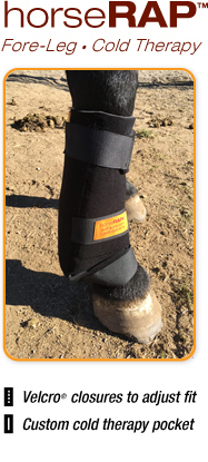 horseRAP® Fore-leg Cold Therapy Treatment for Horses