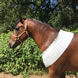 horseRAP® Universal WoundRAP Equine Injury Treatment